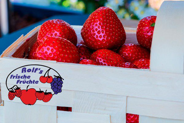 Erdbeeren zum Selberpflücken! | Mein Besigheim
